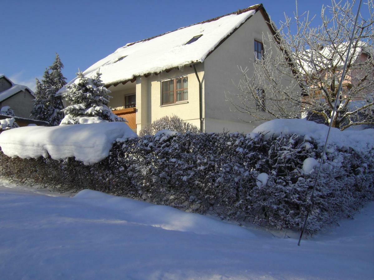 Ferienwohnung "Am Muschwitztal" Bad Steben / Carlsgrun Buitenkant foto
